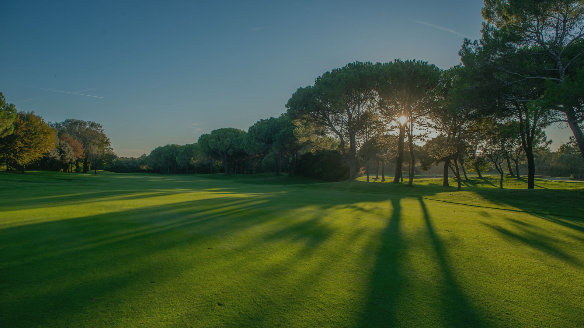 Late afternoon light across Elkhorn Golf Course